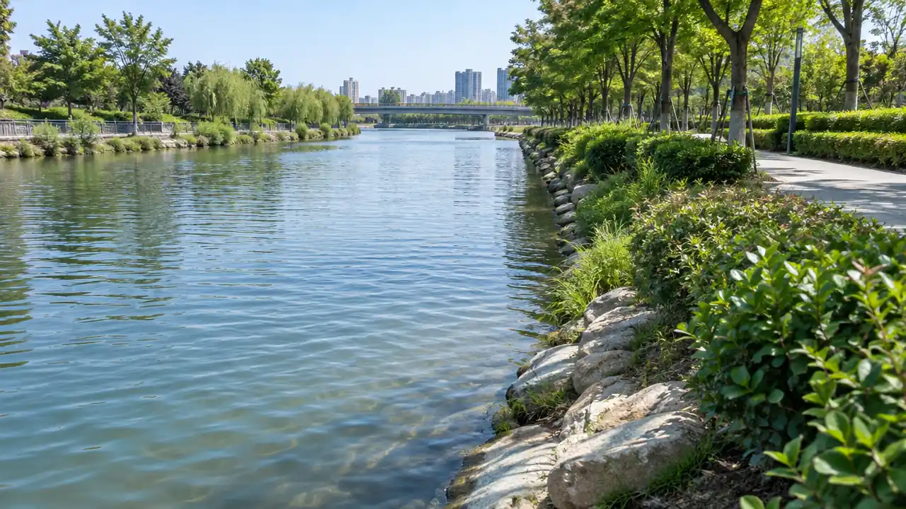 城市河道与两岸绿化近景