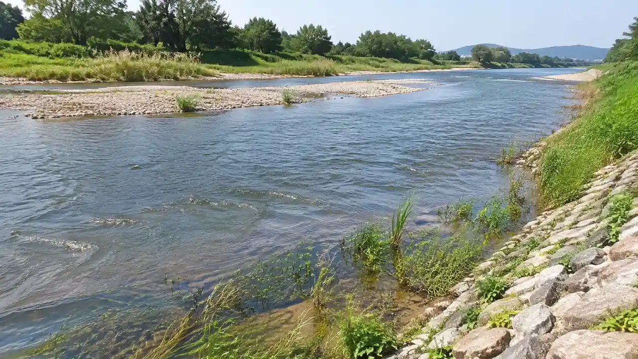 河道岸坡的碎石与近岸水面