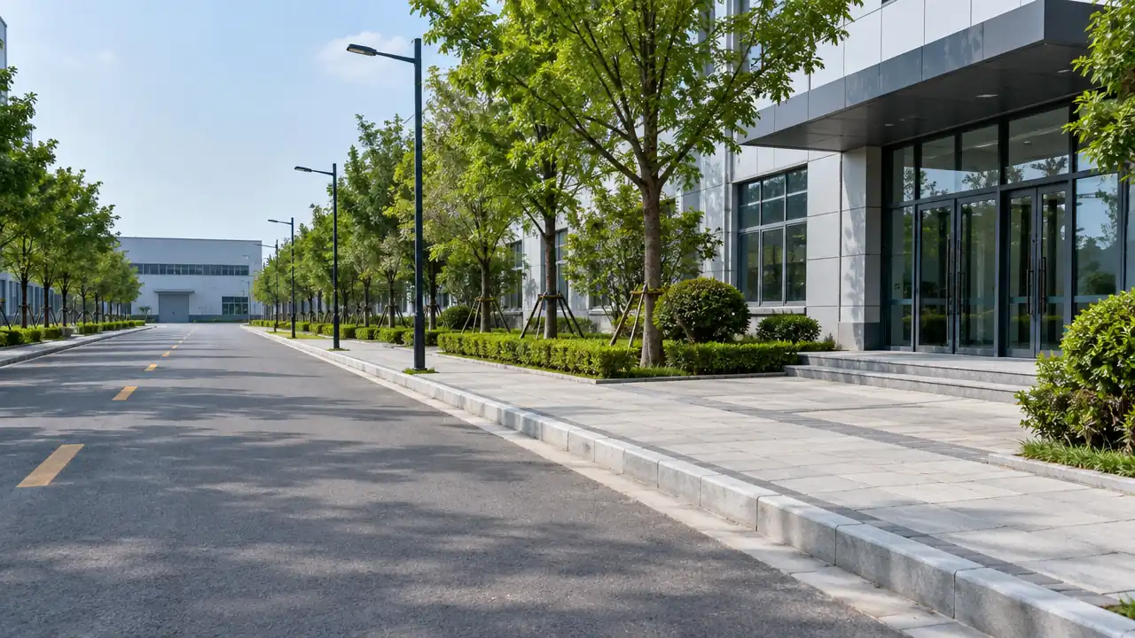 建筑入口前的道路与行道树