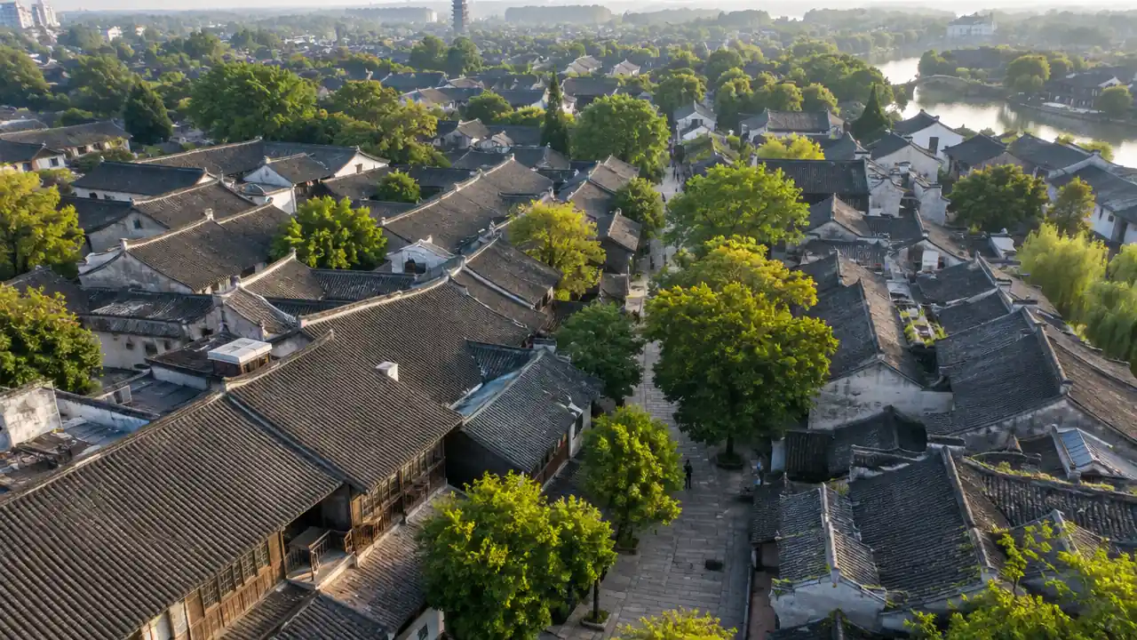 历史风貌街区航拍:成片坡屋顶老建筑、窄巷与沿街绿树