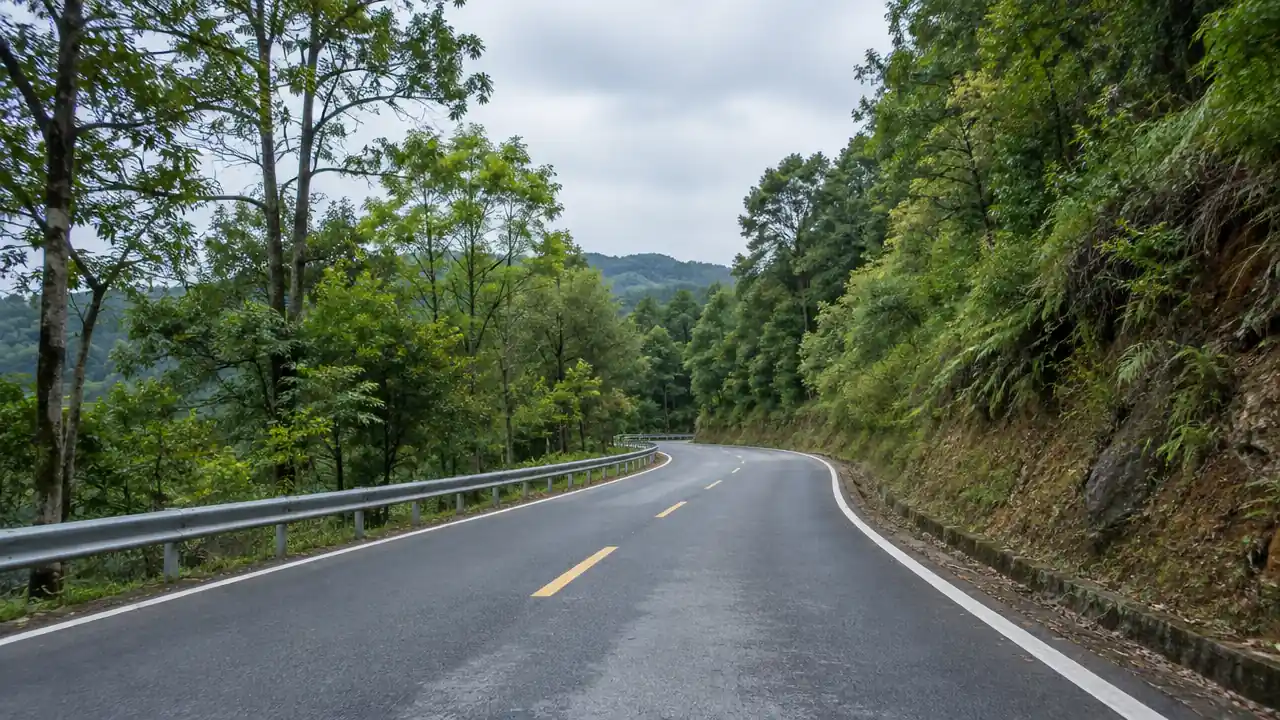 林间道路与坡地植被的低空视角场景
