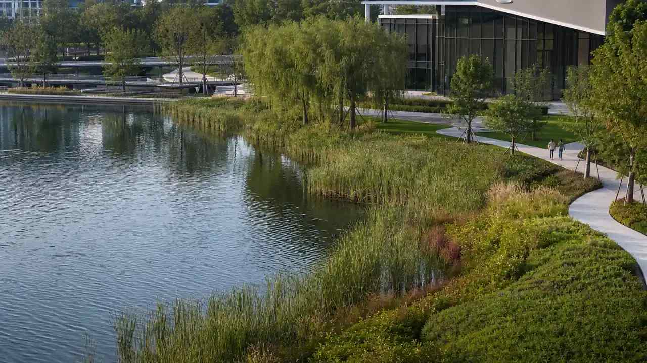 image2.jpg